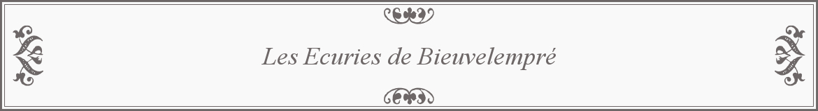 Les Ecuries de Bieuvelempré